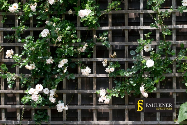Can I put trellis on my Neighbours garage wall? 2 Do you want to adapt your neighbours garage door and add a trellis Bracknell? Talk to Faulkner Surveyor Bracknell